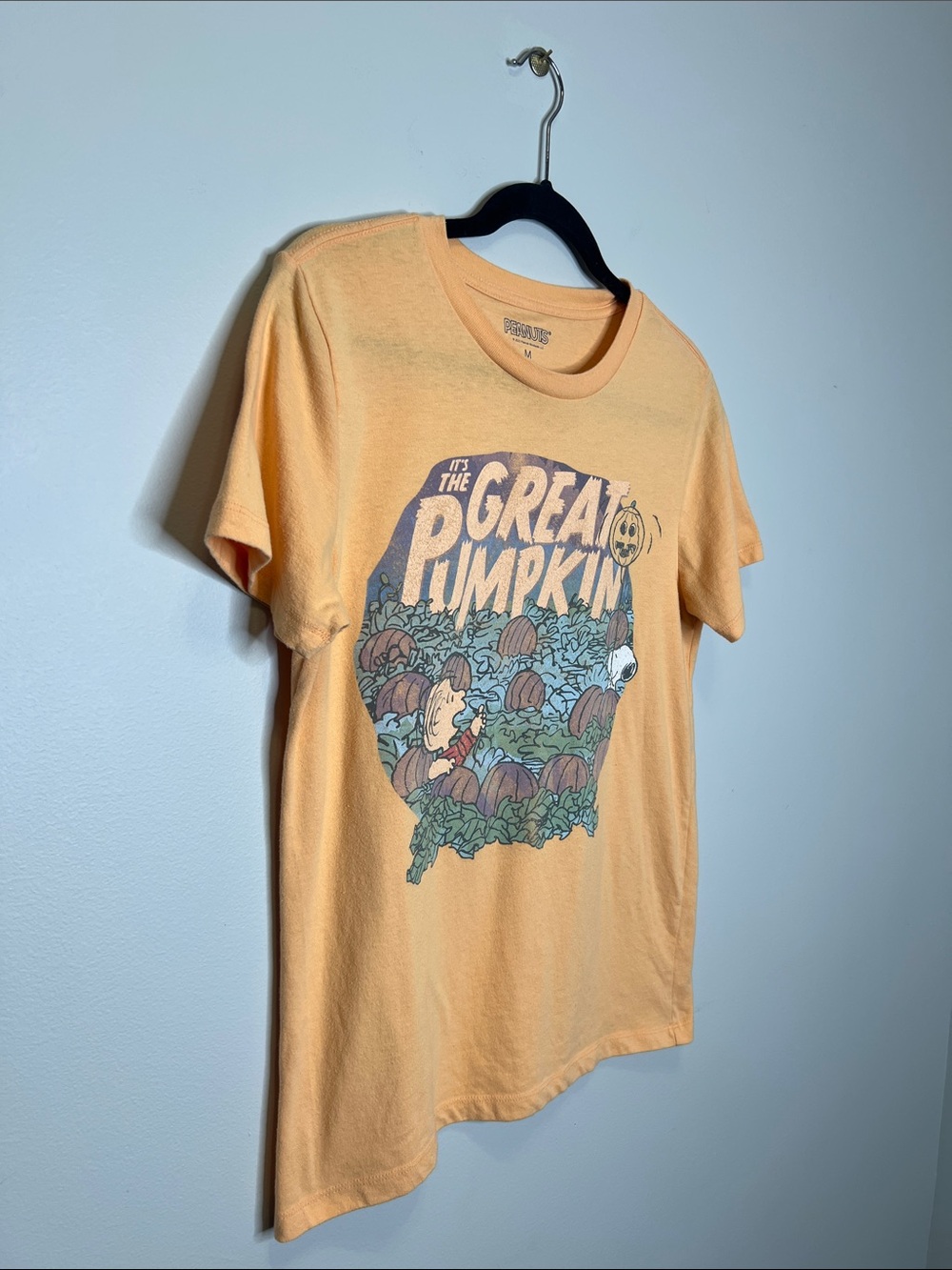 It’s the Great Pumpkin Charlie Brown and Snoopy Halloween Tee size Medium - Picture 3 of 9